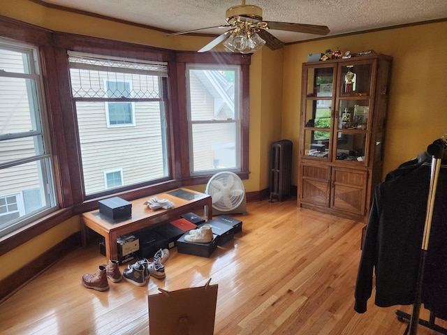 30 Royce Ave, Middletown, NY 10940 - office space with radiator heating unit, a ceiling fan, healthy amount of natural light, a textured ceiling, and light wood-style flooring