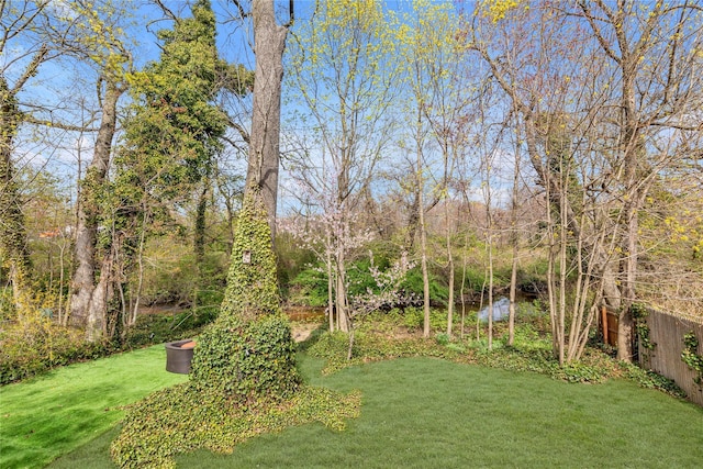 45 Henry St, Merrick, NY 11566 - view of yard