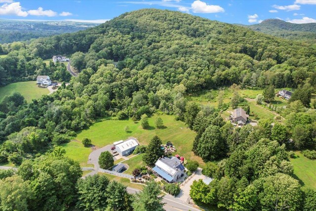 278 Gibson Hill Rd, Chester, NY 10918 - bird's eye view of a heavily wooded area and mountains