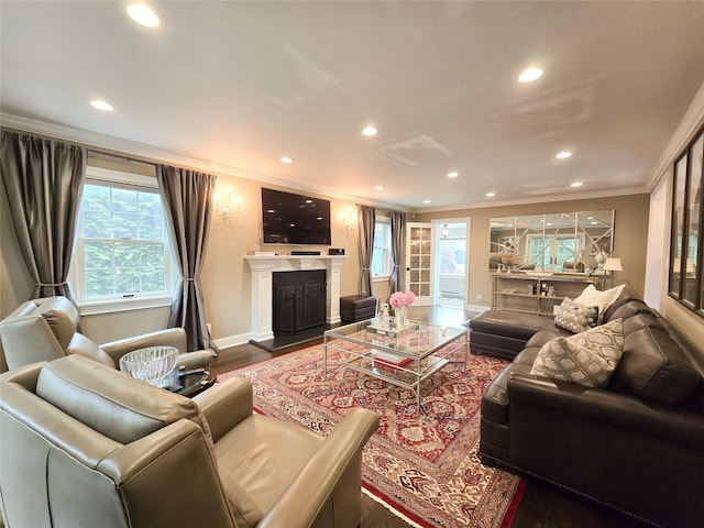 352 Mill Spring Rd, Manhasset, NY 11030 - living room featuring crown molding, wood finished floors, recessed lighting, a fireplace with raised hearth, and baseboards