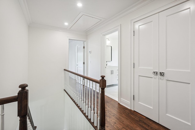 45 Fenimore Rd, New Rochelle, NY 10804 - photo 16