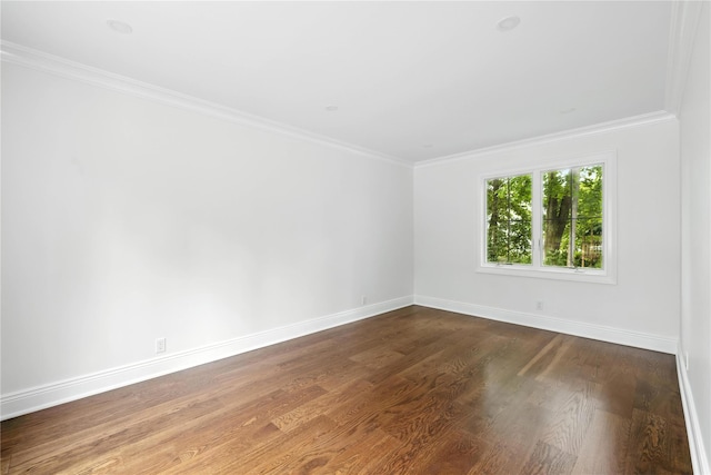 45 Fenimore Rd, New Rochelle, NY 10804 - photo 24