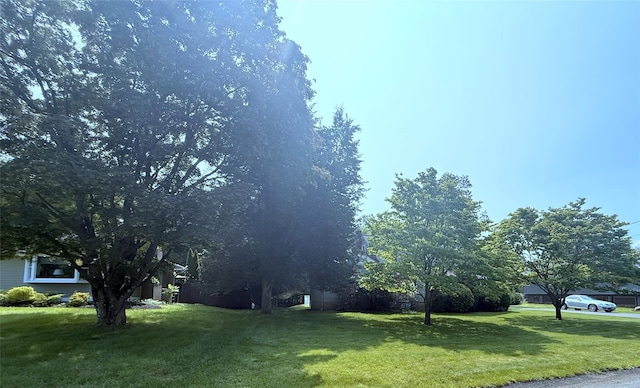 18 Hughes St, Congers, NY 10920 - view of green lawn