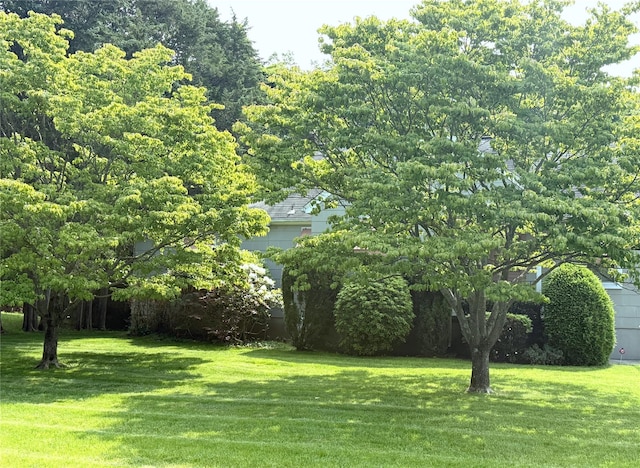 18 Hughes St, Congers, NY 10920 - view of green lawn