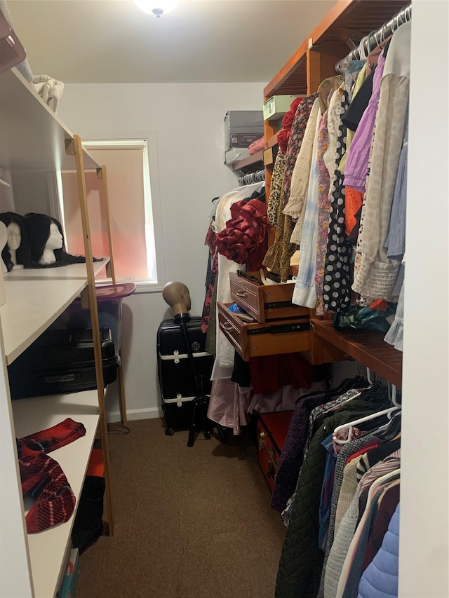 304 Warburton Ave Unit 3A, Yonkers, NY 10701 - spacious closet with carpet flooring