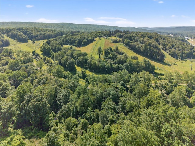57 Panorama Dr, Patterson, NY 12563 - bird's eye view of a heavily wooded area
