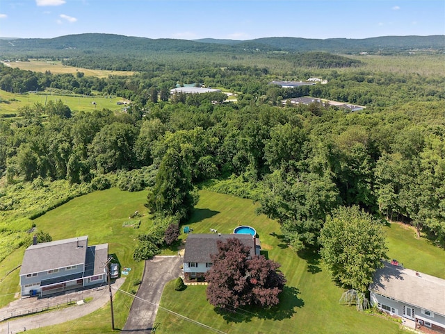 57 Panorama Dr, Patterson, NY 12563 - drone / aerial view of a forest
