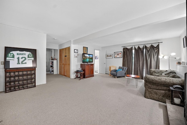57 Panorama Dr, Patterson, NY 12563 - living room with carpet floors