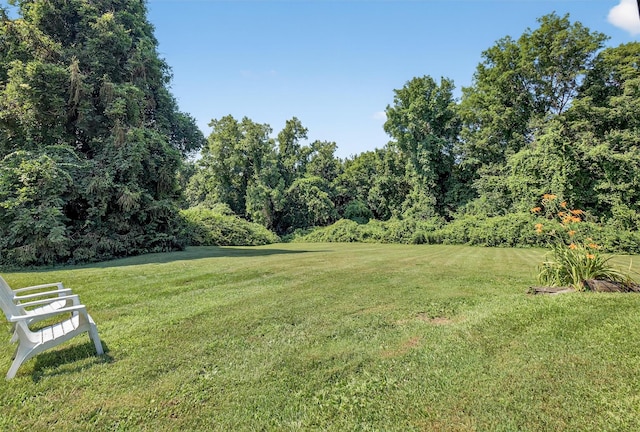 57 Panorama Dr, Patterson, NY 12563 - view of green lawn
