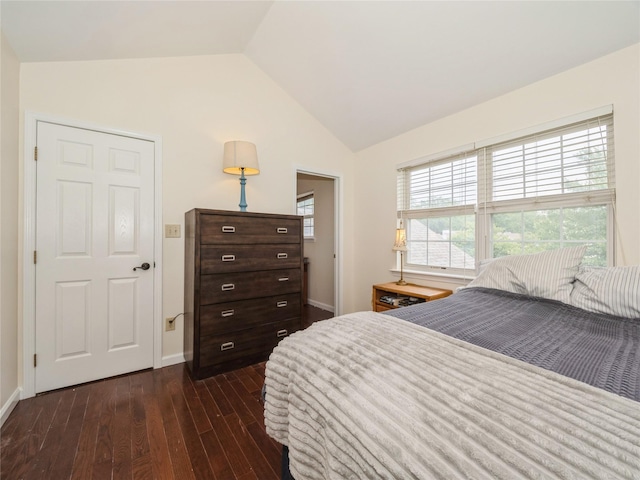 47 Muirfield Ct, Poughkeepsie, NY 12603 - bedroom featuring lofted ceiling and dark wood finished floors