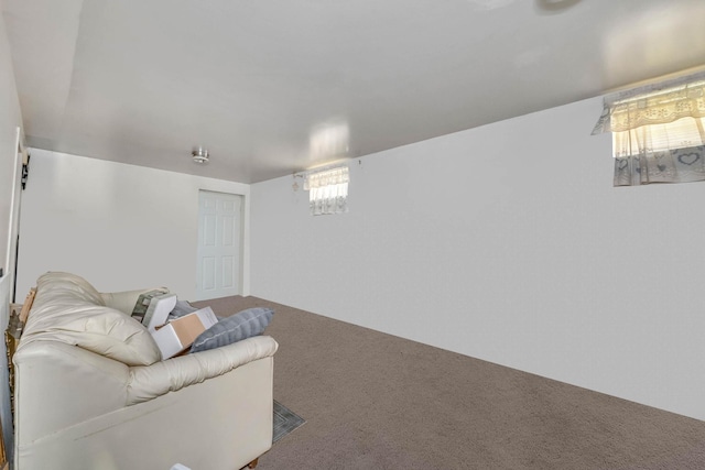 14015 159th St, Jamaica, NY 11434 - living room featuring carpet floors