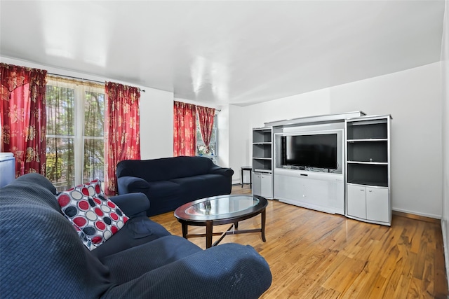 1830 Sterling Pl, Brooklyn, NY 11233 - living room featuring wood finished floors and baseboards