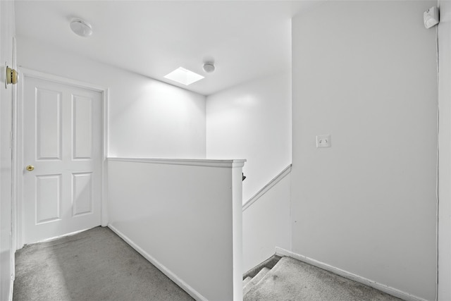 1830 Sterling Pl, Brooklyn, NY 11233 - hallway with a skylight, an upstairs landing, carpet, and baseboards