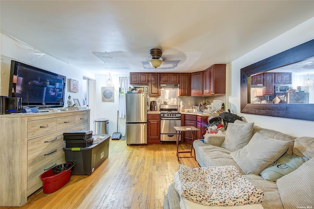 230 S 2nd St, Brooklyn, NY 11211 - living area featuring a ceiling fan and light wood finished floors