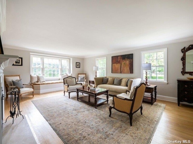22 Homer Pl, Manhasset, NY 11030 - living room featuring ornamental molding, light wood-style flooring, and baseboards