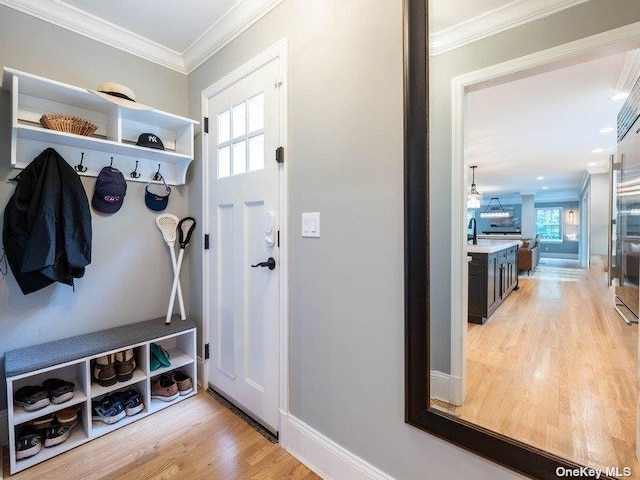 22 Homer Pl, Manhasset, NY 11030 - mudroom featuring light wood-style floors, plenty of natural light, ornamental molding, and baseboards
