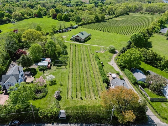 35950 Main Rd, Cutchogue, NY 11935 - photo 2
