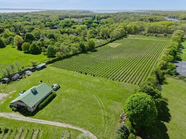 35950 Main Rd, Cutchogue, NY 11935 - photo 5