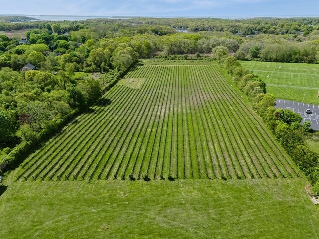 35950 Main Rd, Cutchogue, NY 11935 - photo 6
