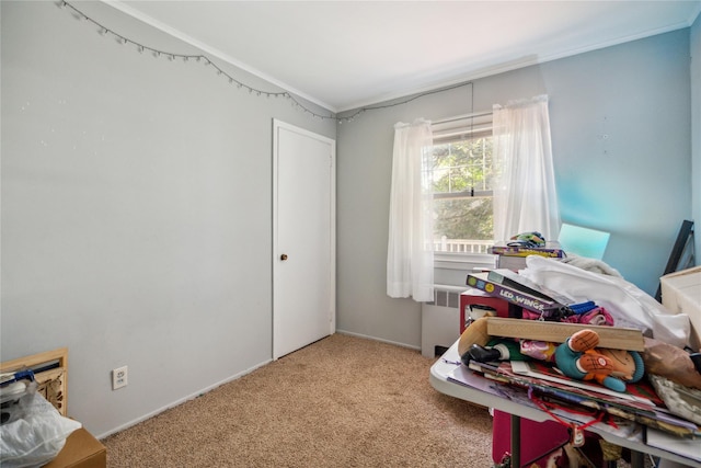 24 Pine St, Lake Grove, NY 11755 - office space with carpet flooring, crown molding, and radiator