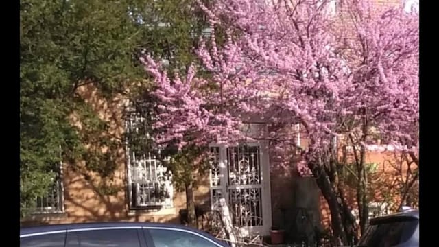 32-17 46th St, Astoria, NY 11103 - view of property exterior with a gate