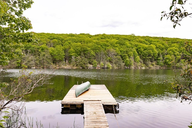 215 Little Pond Rd, Pawling, NY 12564 - dock area with a wooded view and a water view