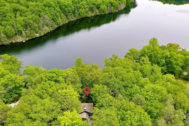 215 Little Pond Rd, Pawling, NY 12564 - drone / aerial view of a forest and a nearby body of water