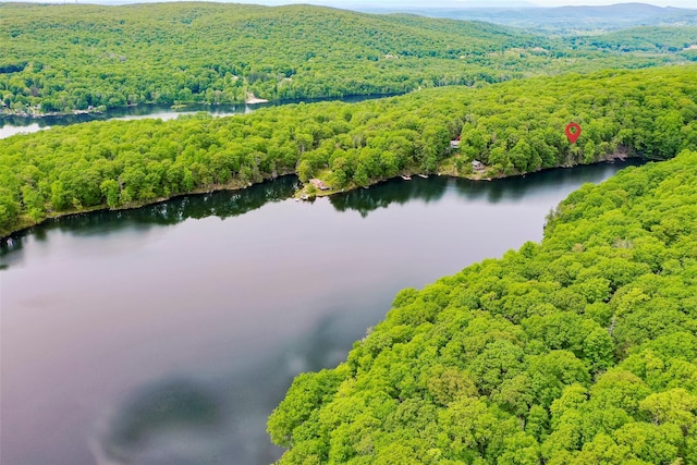 215 Little Pond Rd, Pawling, NY 12564 - aerial view of a heavily wooded area and a nearby body of water