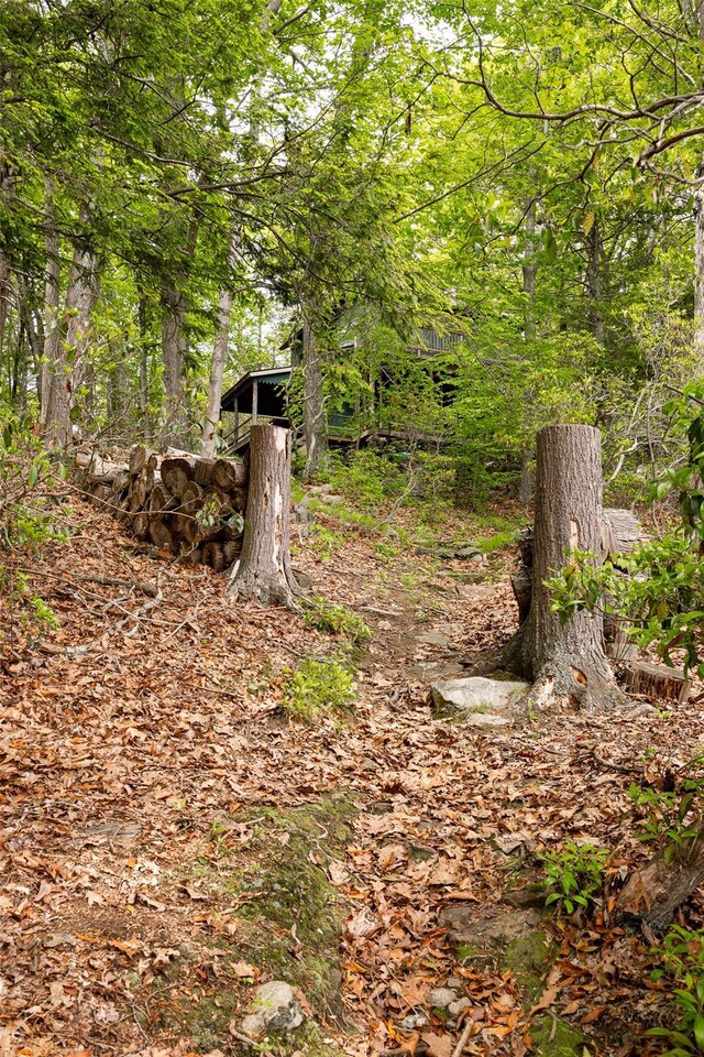 215 Little Pond Rd, Pawling, NY 12564 - view of wooded area