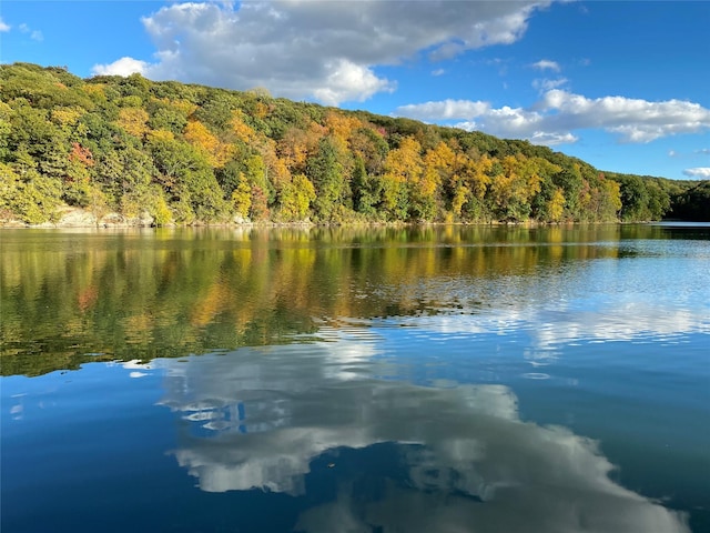 215 Little Pond Rd, Pawling, NY 12564 - water view with a forest