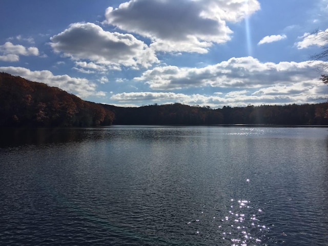 215 Little Pond Rd, Pawling, NY 12564 - water view featuring a forest