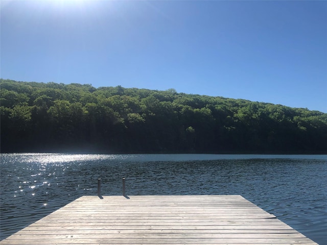 215 Little Pond Rd, Pawling, NY 12564 - dock area featuring a water view and a forest view