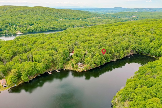 215 Little Pond Rd, Pawling, NY 12564 - aerial view of a heavily wooded area and a nearby body of water
