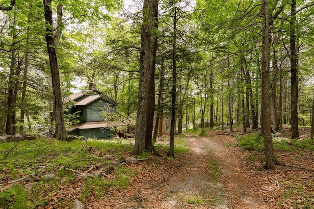 215 Little Pond Rd, Pawling, NY 12564 - view of street featuring a view of trees