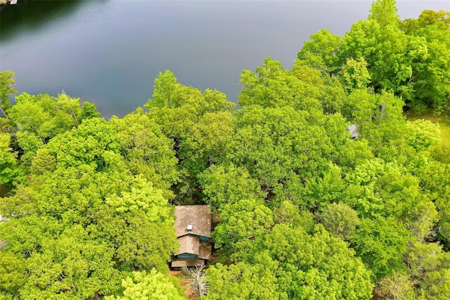 215 Little Pond Rd, Pawling, NY 12564 - bird's eye view of a heavily wooded area and a nearby body of water