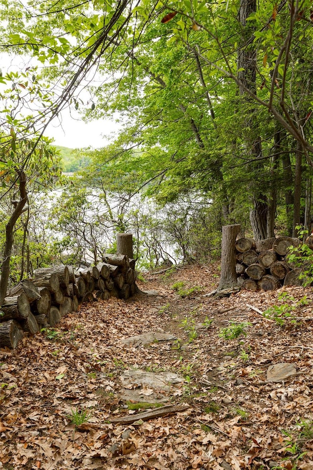 215 Little Pond Rd, Pawling, NY 12564 - view of undeveloped land