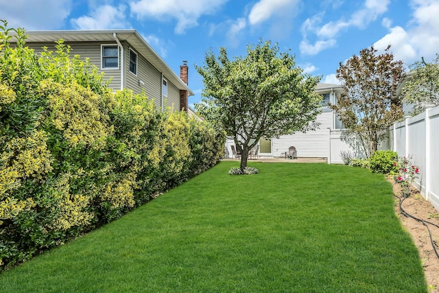 1197 Tulip Ave, Franklin Square, NY 11010 - view of yard