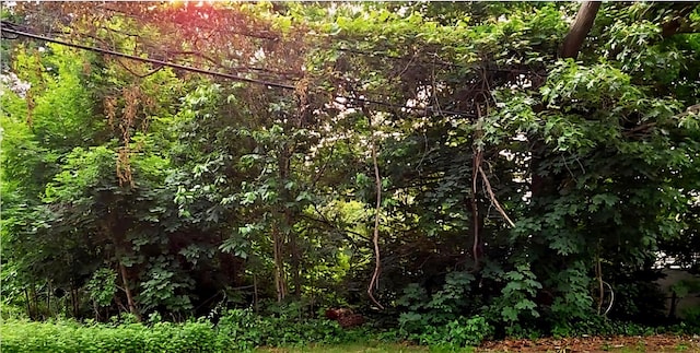  - photo 1