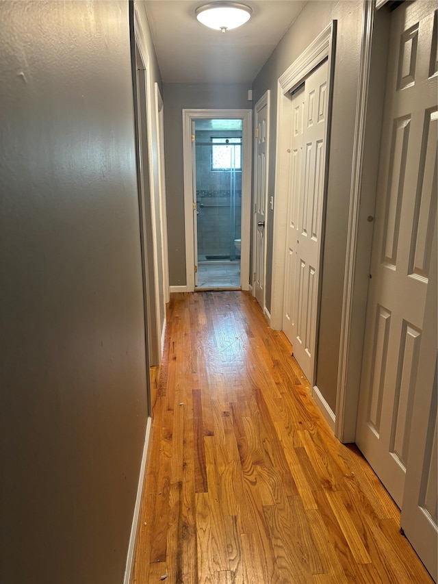 2439 Union Blvd Unit 1A, Islip, NY 11751 - photo 5