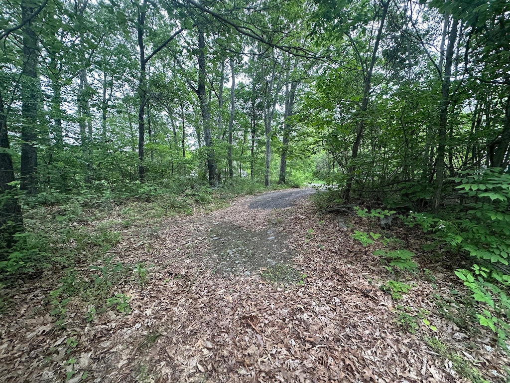 47 Krystal Ln, Wallkill, NY 12589