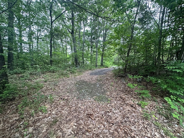 47 Krystal Ln, Wallkill, NY 12589