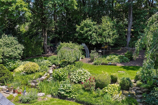 225 Fisher Ave, White Plains, NY 10606 - view of yard with a vegetable garden