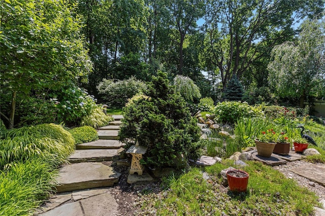 225 Fisher Ave, White Plains, NY 10606 - view of yard