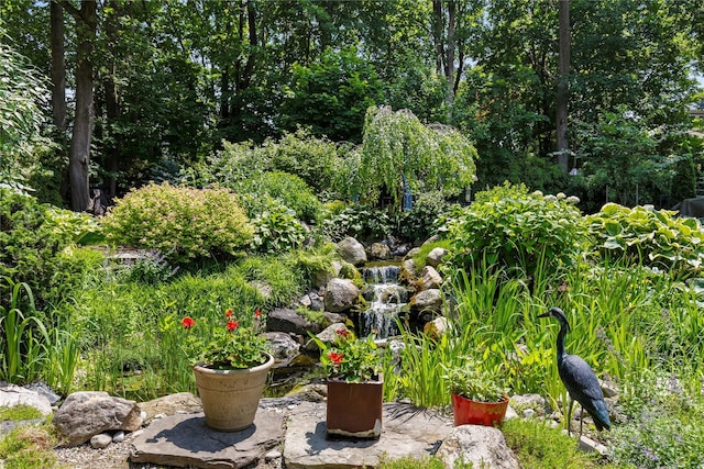 225 Fisher Ave, White Plains, NY 10606 - view of yard