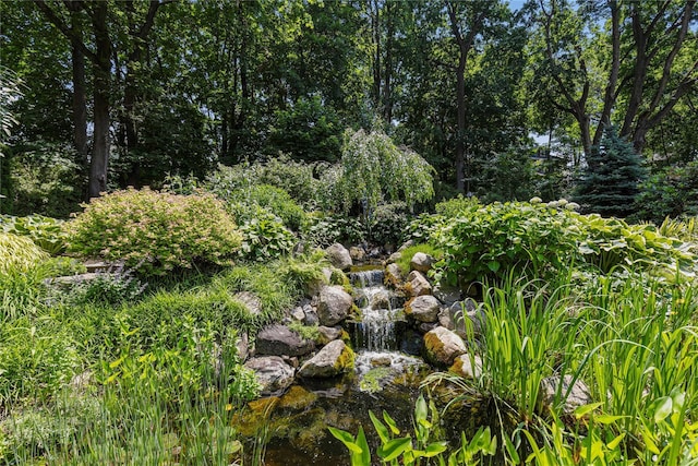 225 Fisher Ave, White Plains, NY 10606 - view of undeveloped land