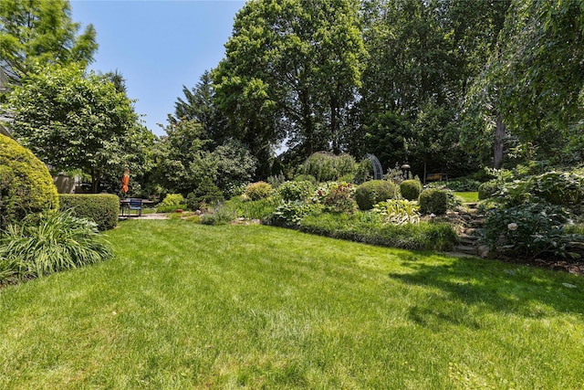 225 Fisher Ave, White Plains, NY 10606 - view of grassy yard