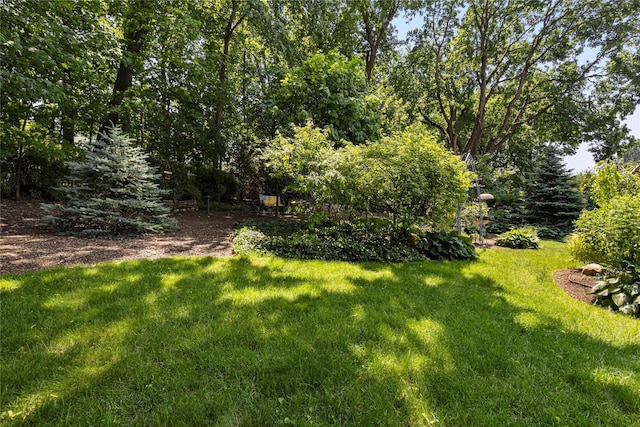 225 Fisher Ave, White Plains, NY 10606 - view of green lawn