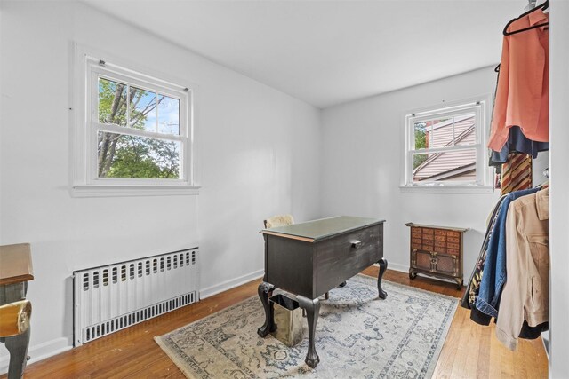 5 Fairview Ave, New Paltz, NY 12561 - home office featuring radiator, healthy amount of natural light, wood finished floors, and baseboards