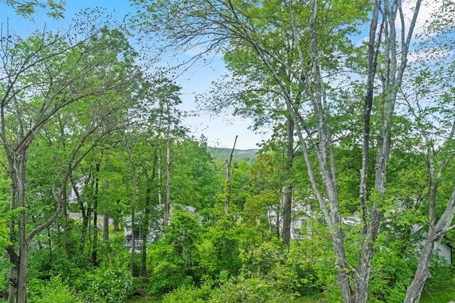 5 Fairview Ave, New Paltz, NY 12561 - view of local wilderness