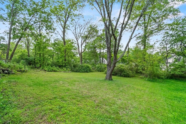 5 Fairview Ave, New Paltz, NY 12561 - view of green lawn